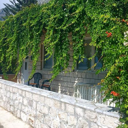 Sea View Apartment, Todorovic Kotor Eksteriør bilde